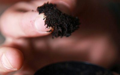 Need to Quit Chewing Tobacco?