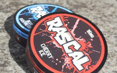 What are Nicopods? – Everything You Need To know